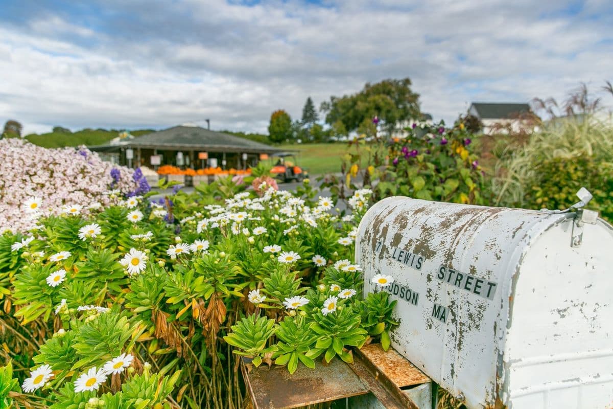 Ferjulian's Farm