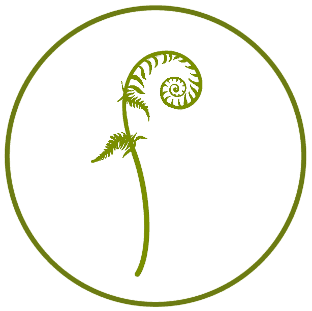 Fern