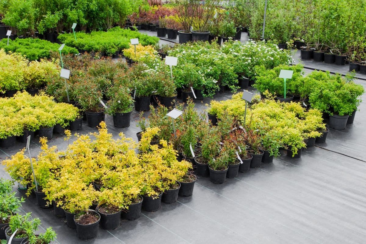 Ferrara's Orchards Farm and Garden Center