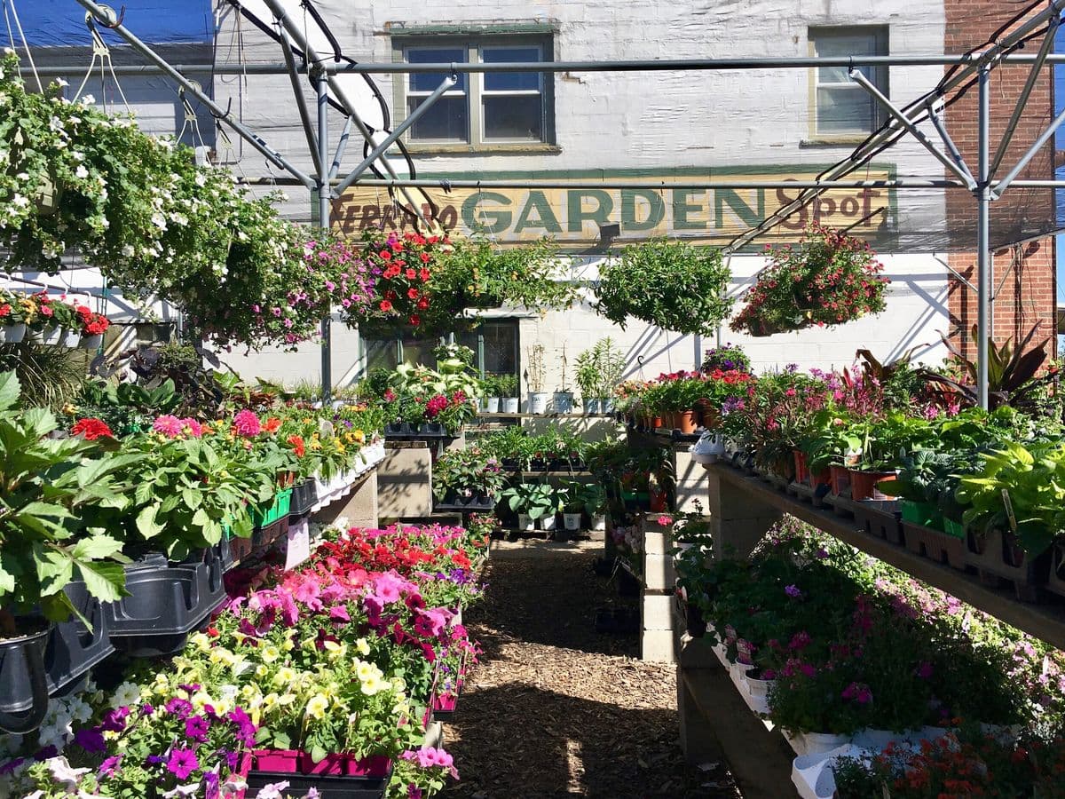 Ferraro Garden Spot Inc