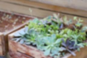 Fertile Garden Center