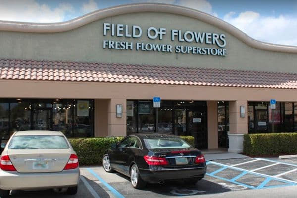 Field of Flowers