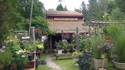 Fieldstone Nursery