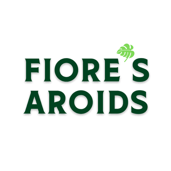 Fiore's Aroids