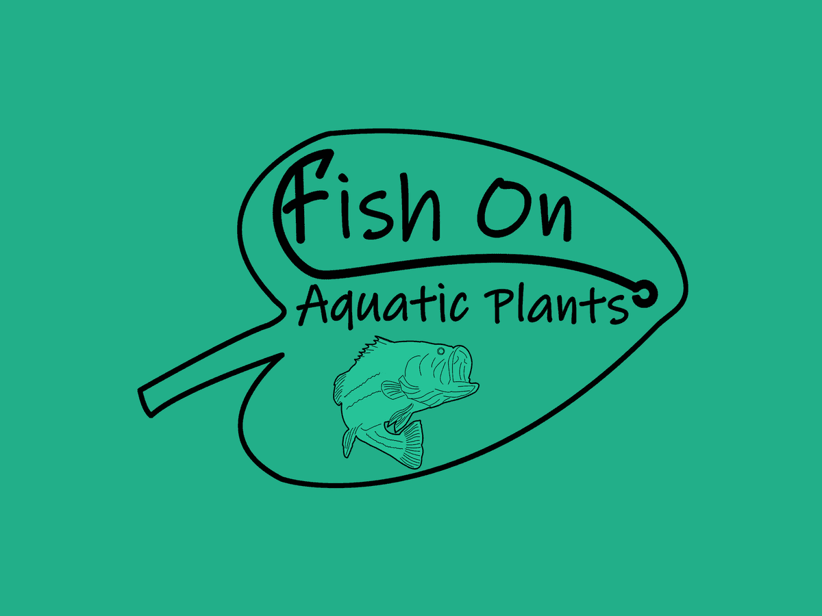 Fish On Aquatic Plants