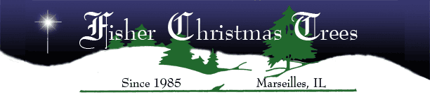 Fisher Christmas Trees