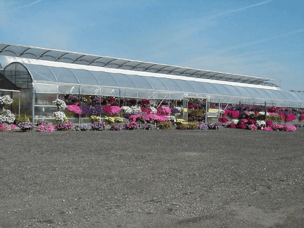 Fitkin's Greenhouse