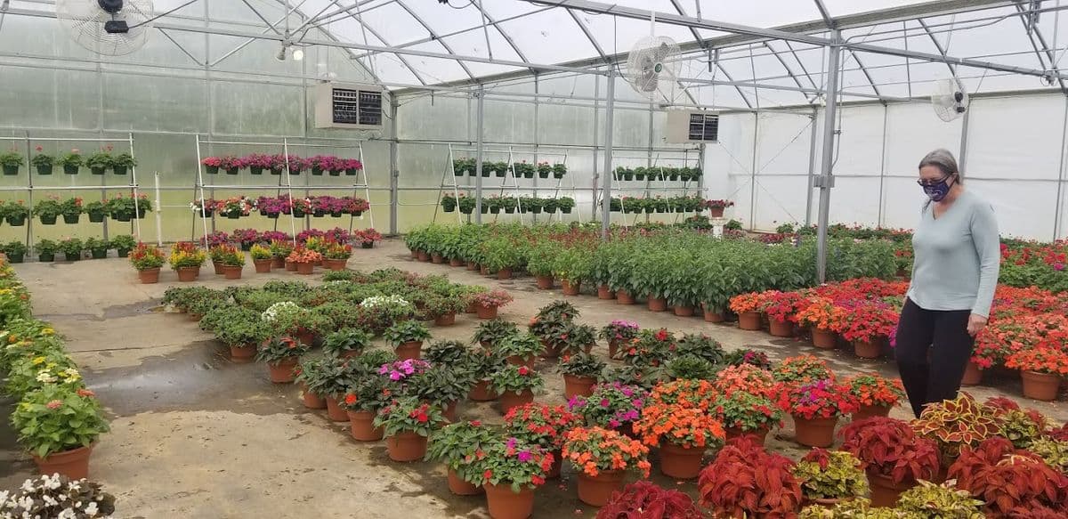 Fitzpatrick Greenhouses