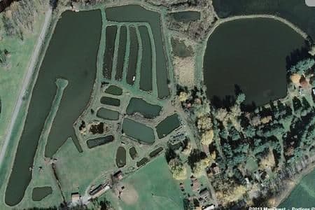 Five F Fish Farm