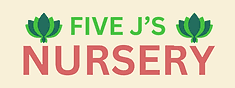 FIVE J'S NURSERY