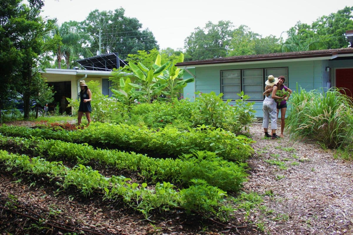 Fleet Farming Nonprofit & Plant Nursery