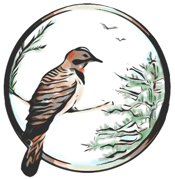 Flicker & Fir