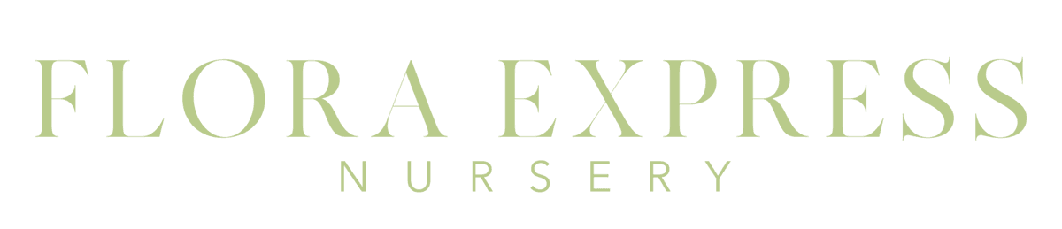 Flora Express