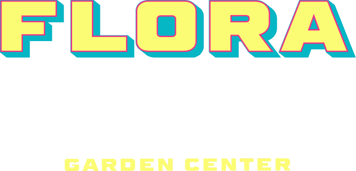 Flora of Miami
