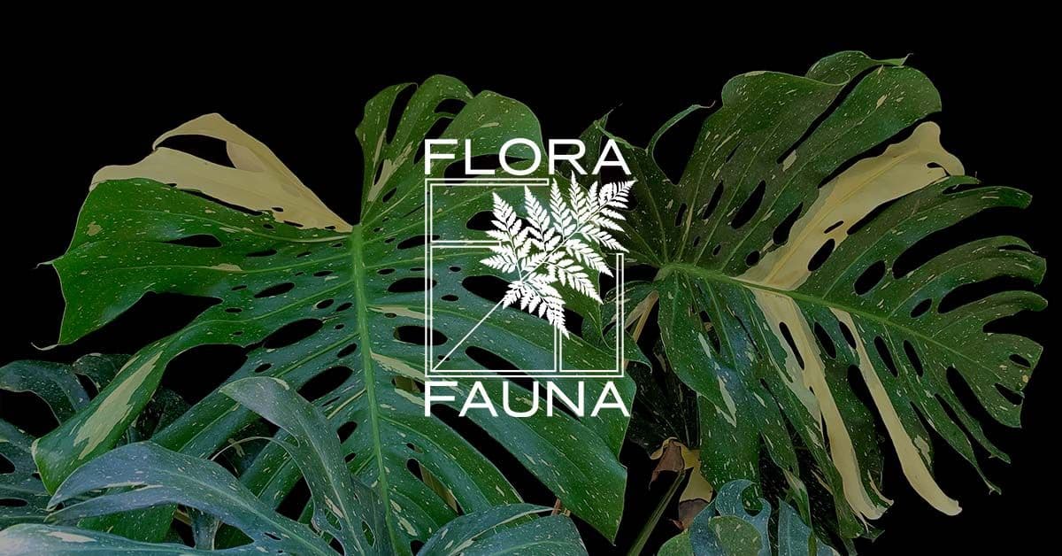 Flora/Fauna