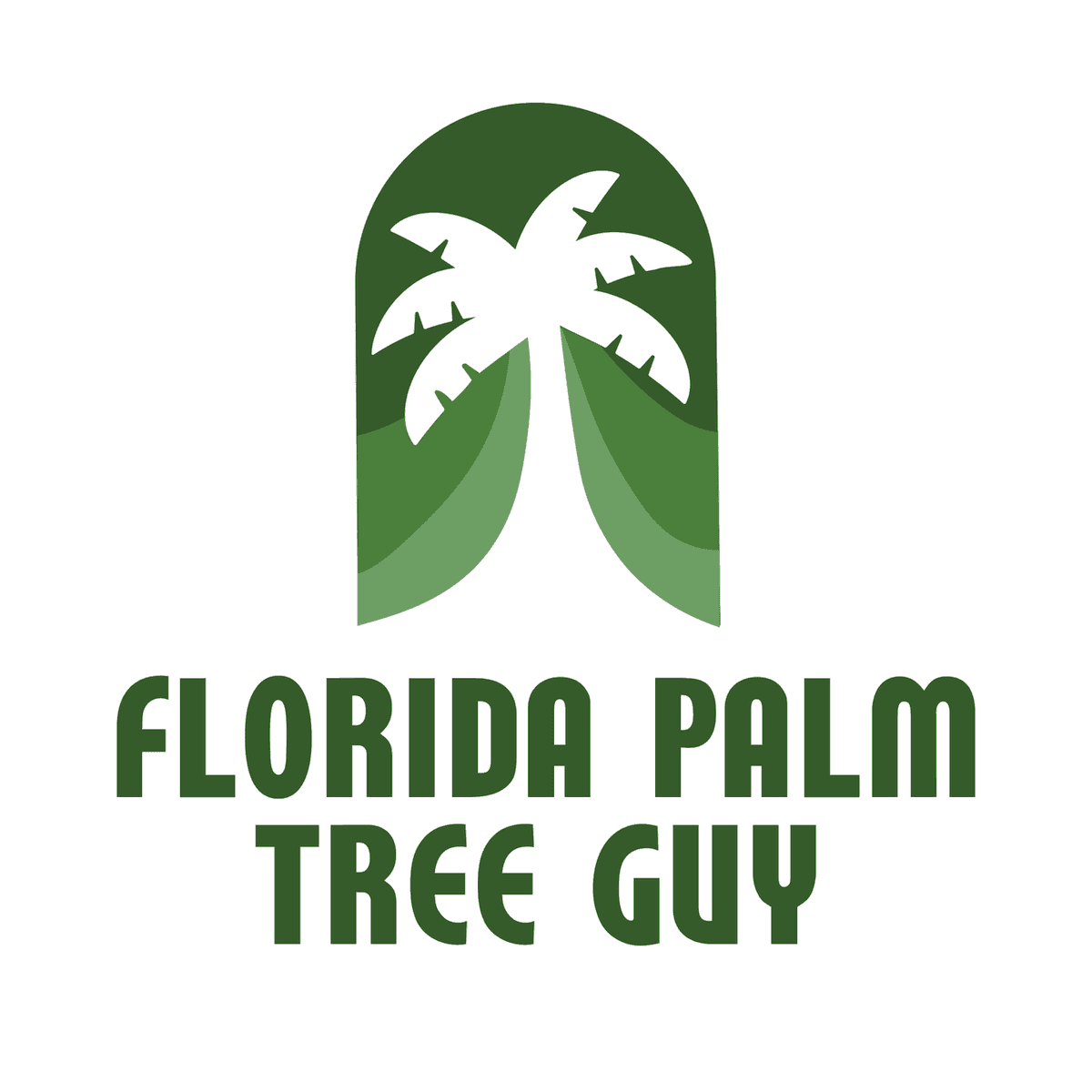 Florida Palm Tree Guy