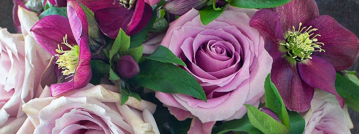 Flower Sensation Delivery Only