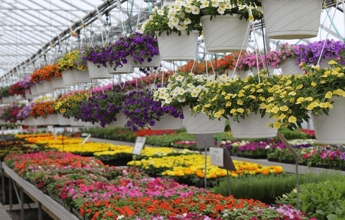 Flower Wagon
