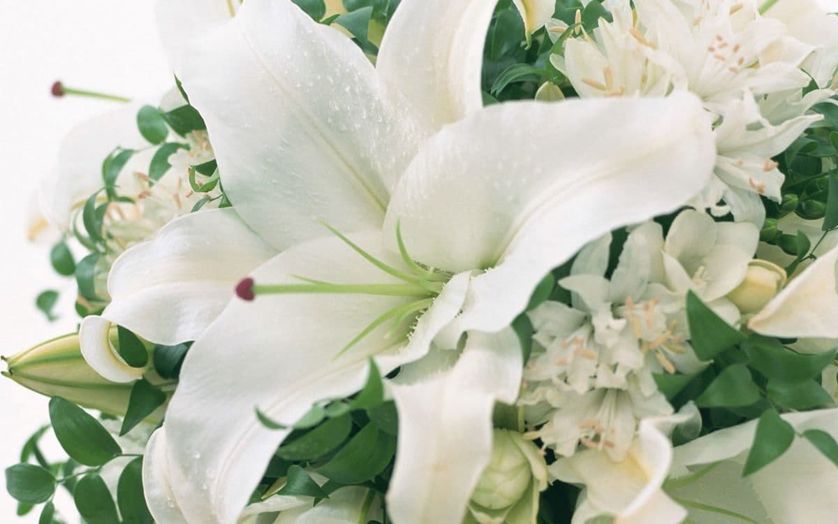 Flowers By Cindy Wholesale