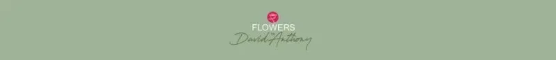 Flowers By David Anthony