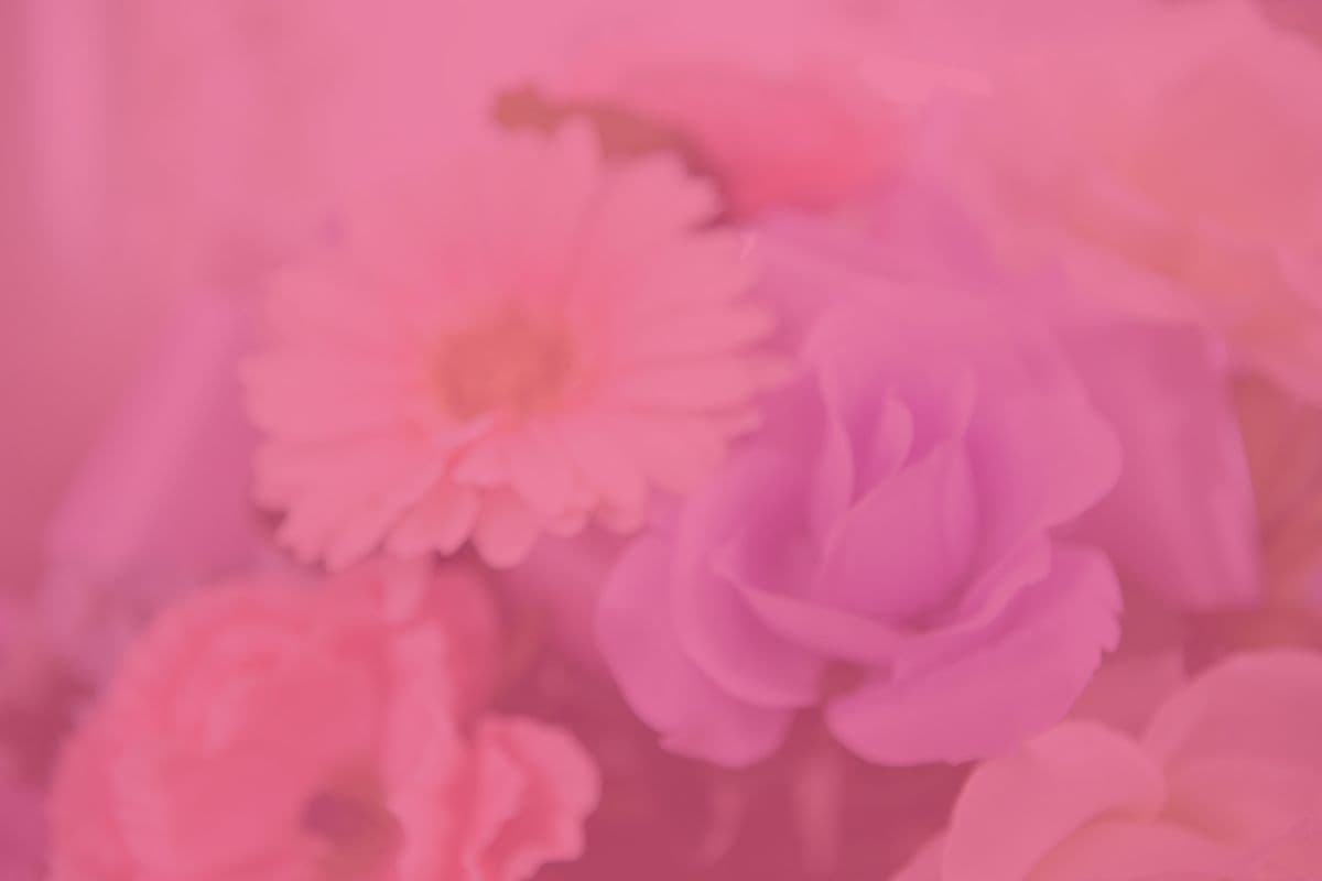 Flowers by Sleeman