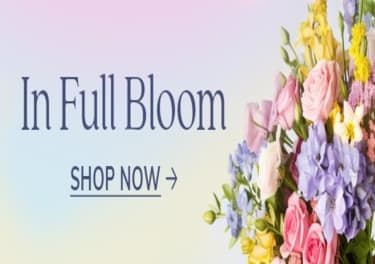 Flowers By Stella