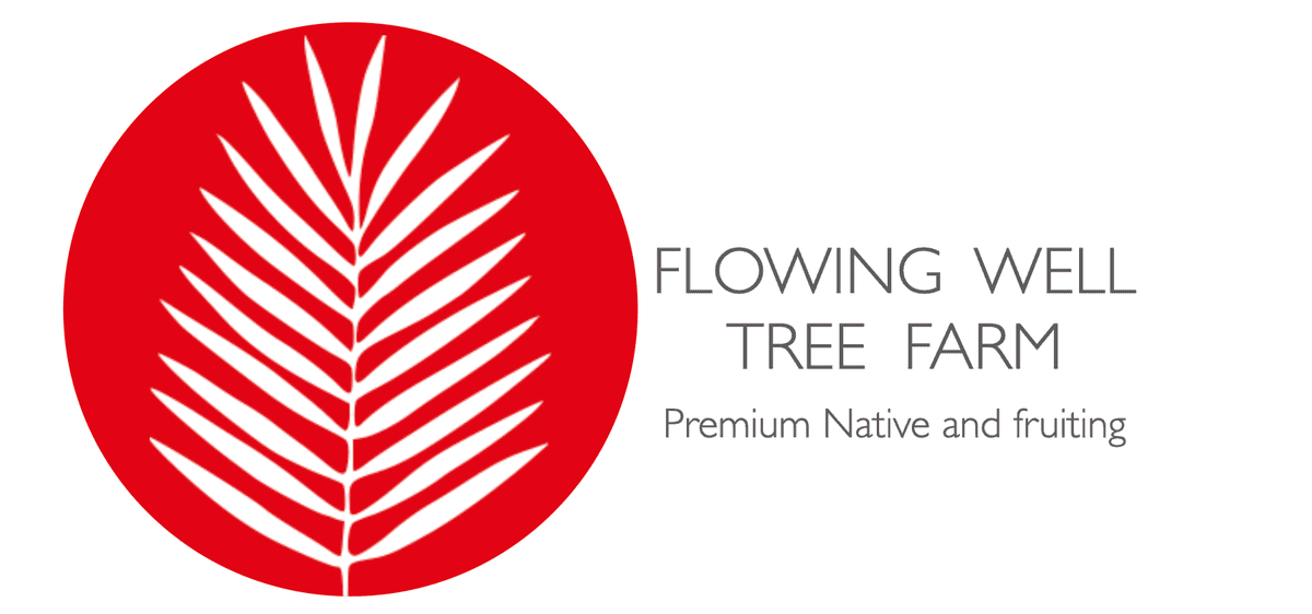 Flowing Well Tree Farm