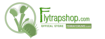 Fly Trap Shop