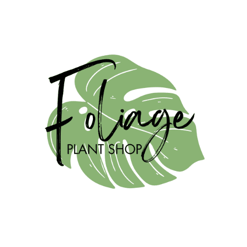 Foliage Plant Shop