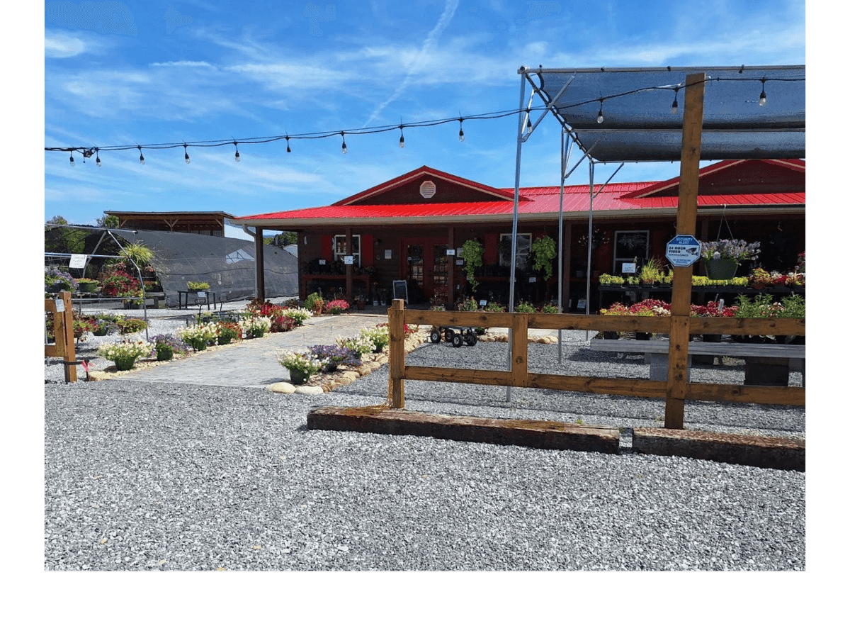 Foothills Plants and Produce
