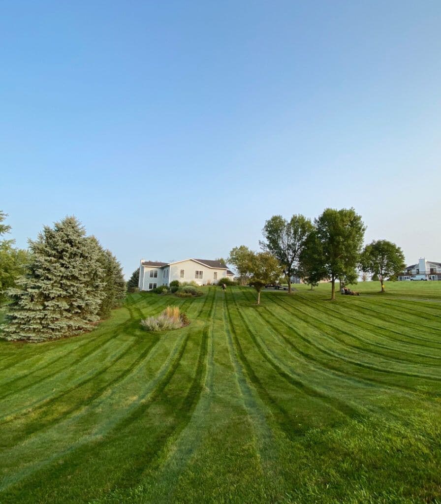 Forest Green Trees Nursery & Landscaping