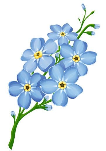 Forget-Me-Not Florist