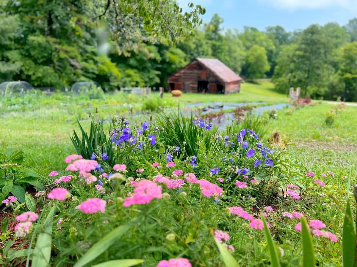 Fork and Tiller Farm