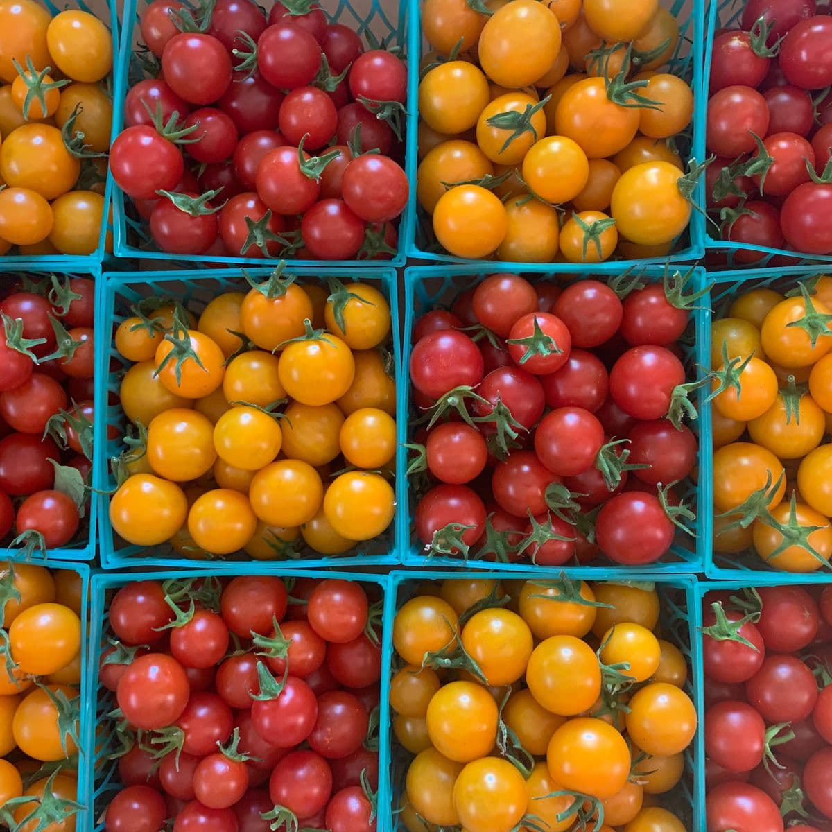 Forni Farm & Nursery