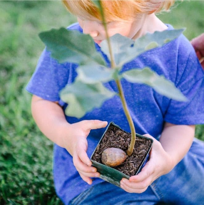 Forrest Keeling Nursery