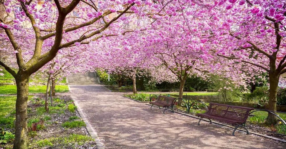 FOUR SEASONS GARDEN CENTER