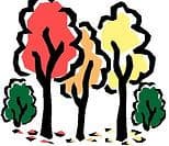 Four Seasons Too