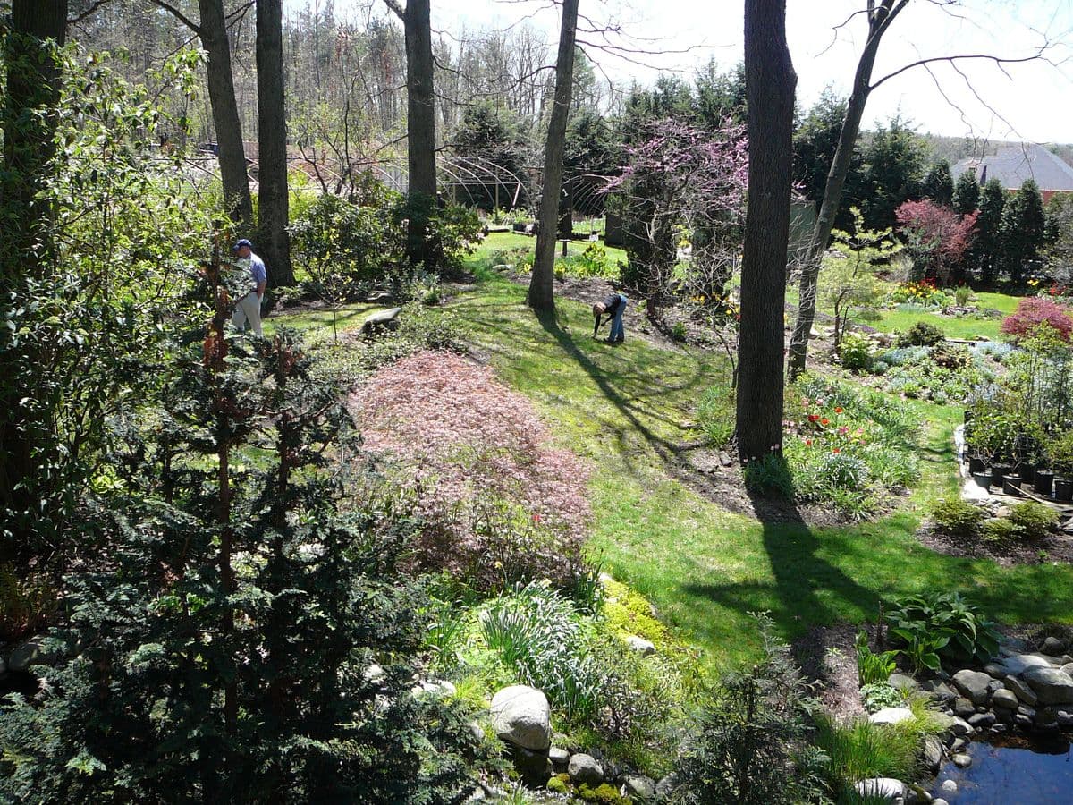 Fox Hill Gardens