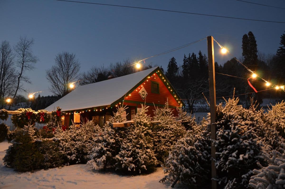 Fox Hollow Nursery
