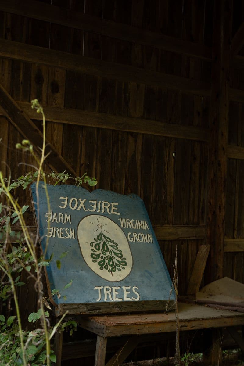 Foxfire Christmas Tree Farm