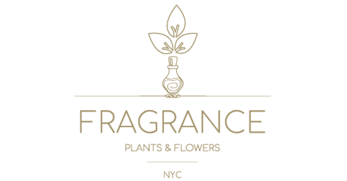 Fragrance Plants & Flowers Inc
