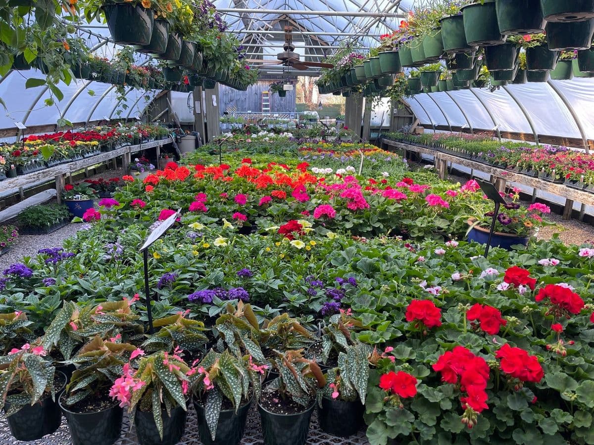 Frazier Greenhouse