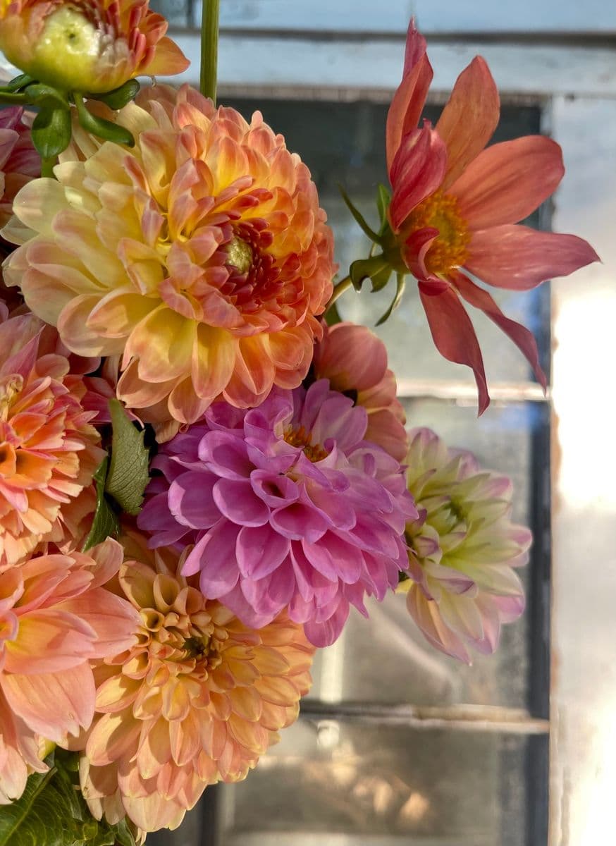 Free Union Flower Farm