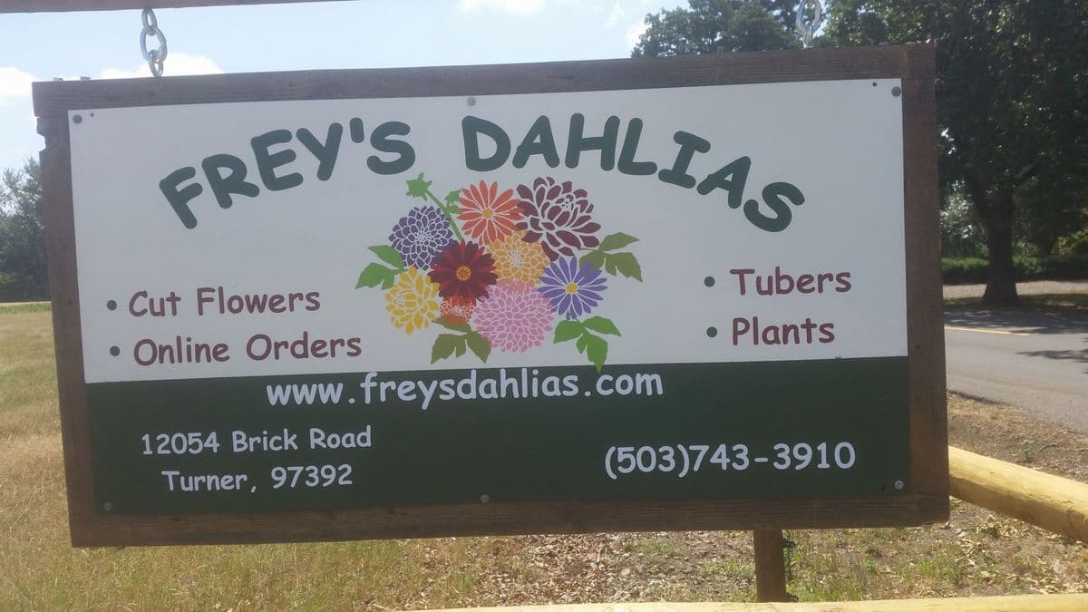 Frey's Dahlias