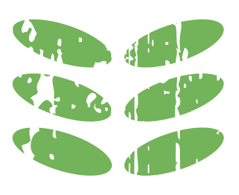 Frisella Landscape Group