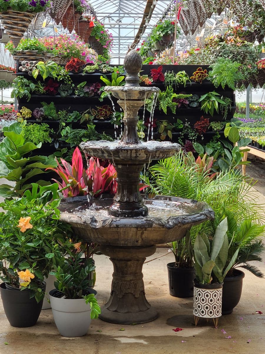 Fruit and Flower Farm