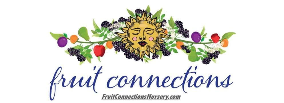 Fruit Connections Nursery