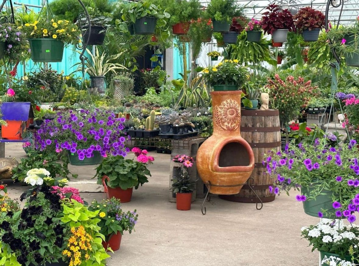 Fullers Retail and Wholesale Nursery