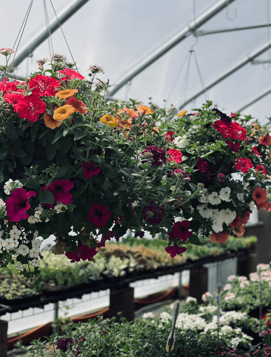 Fullness of Joy Farm