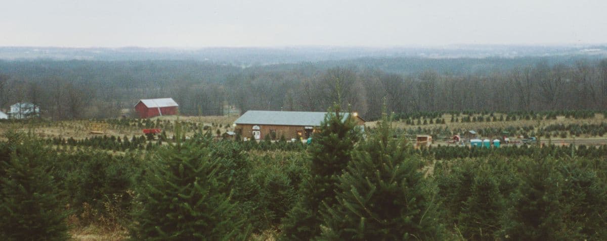 Galehouse Tree Farms
